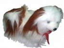 Куче музикално с дълъг косъм